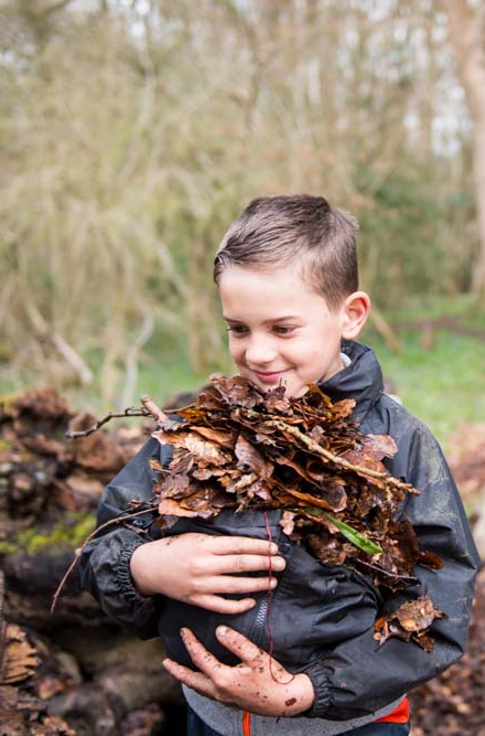 Hull Young person carrying leaves 