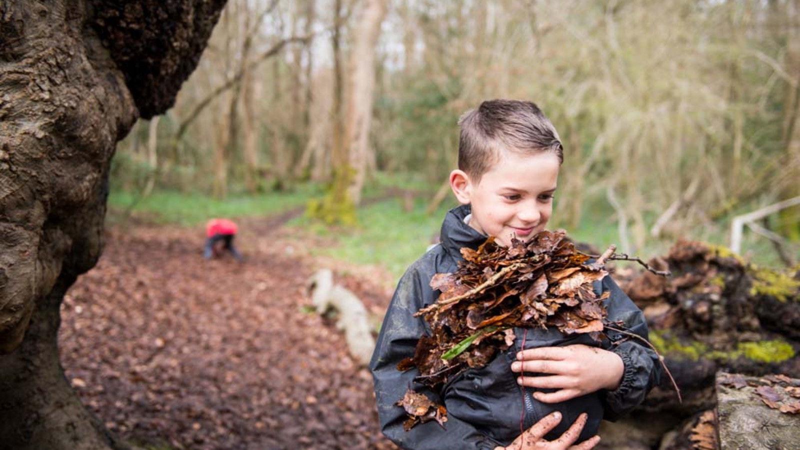 Cub carrying leaves jpg